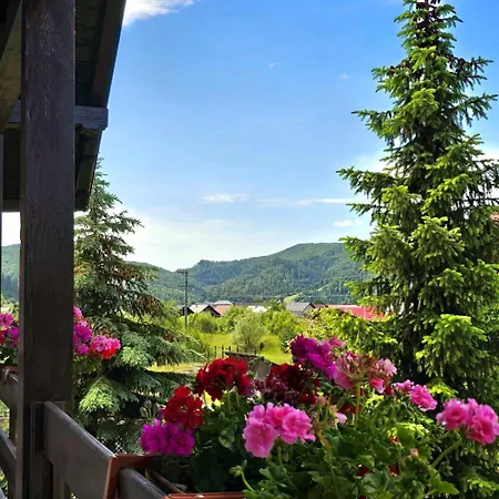Willa Flora In Gura Humorului
